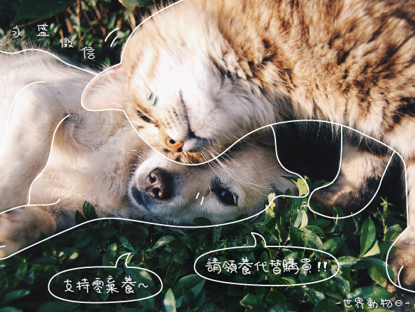 世界動物日