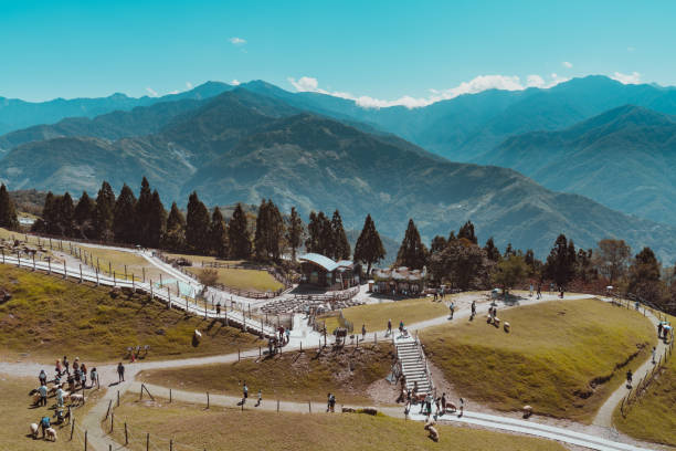 南投徵信社