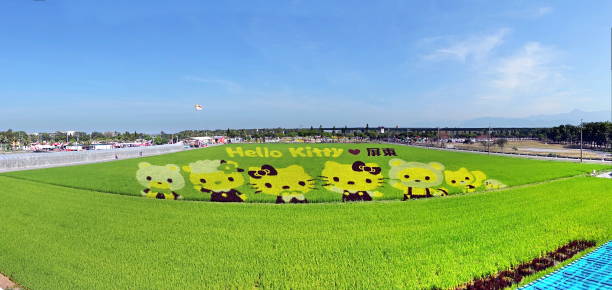 屏東徵信
