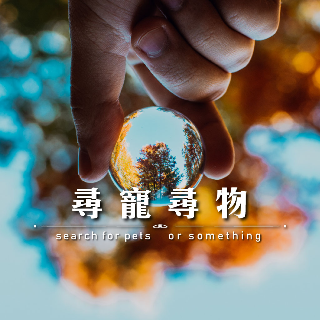 尋寵尋物｜永盛徵信社